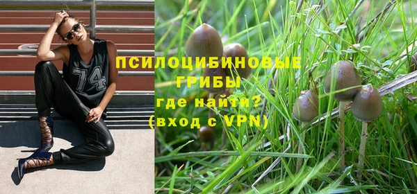 альфа пвп Белокуриха