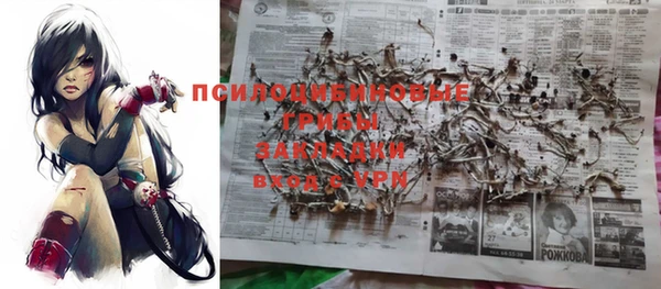 таблы Богданович