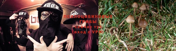 таблы Богданович