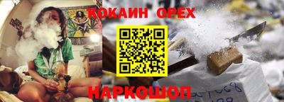 индика Новодвинск