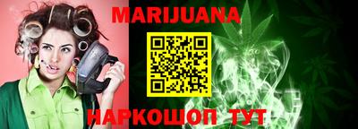 индика Новодвинск