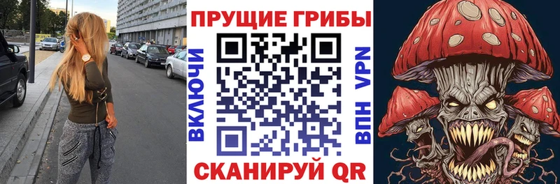 Галлюциногенные грибы Psilocybine cubensis  Саяногорск 