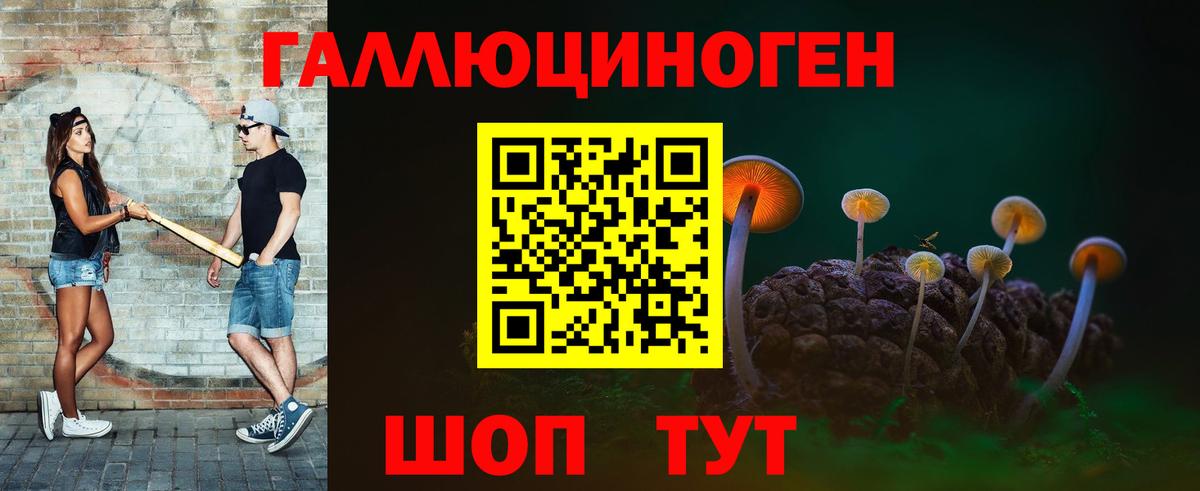 Галлюциногенные грибы MAGIC MUSHROOMS  Вход с VPN  сколько стоит  Саяногорск 